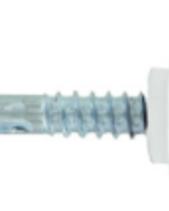 Hexagon head w/neoprene washer SDF 5.5mm x 25mm PP (SI)